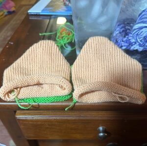 Anatomical Toes by Melissa Meier