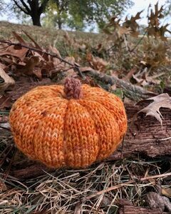 CSM Tuck Stitch Pumpkin with Stem