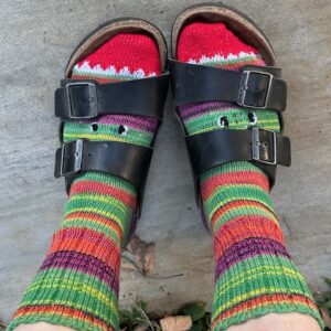 Monster Sock by Elaine Adkins