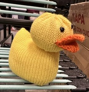 CSM Rubber Duckie