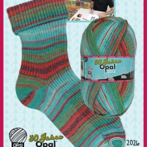 OPAL YARN 1000g CONE 30JAHRE 11740
